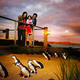 Illustration for article titled How one community brought these cute penguins back from extinction